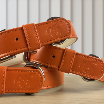 Vegan dog best sale collar