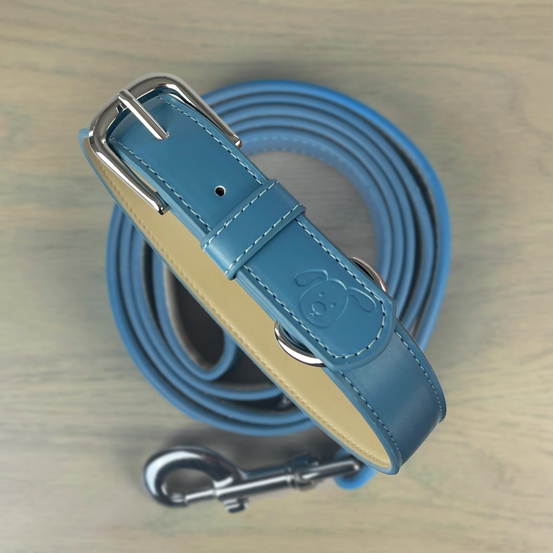 royal blue dog collar