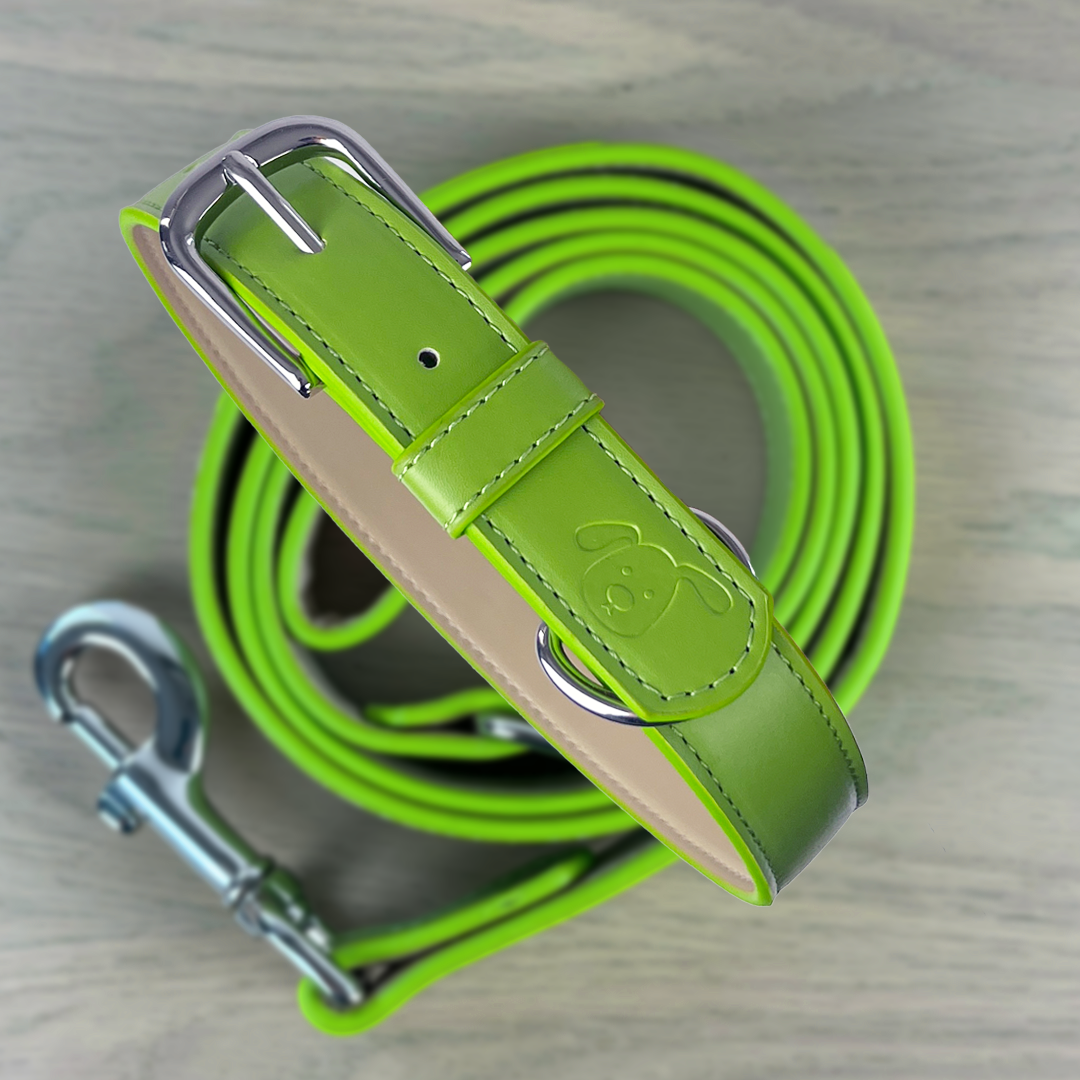bright green dog collar set