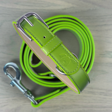 Load image into Gallery viewer, bright green dog collar set
