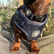 Load image into Gallery viewer, Classy Mother Pupper Harness
