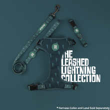 Load image into Gallery viewer, Leashed Lightning Collar

