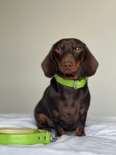 Load image into Gallery viewer, Spring Green Vegan Dog Collar
